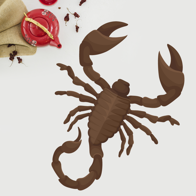 Lot de 2 autocollants à motif scorpion pour rétroviseurs de
