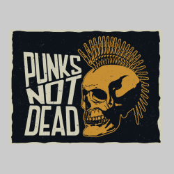 Sticker Punks not dead