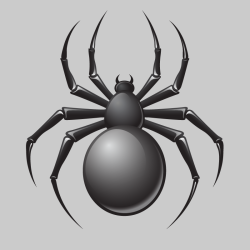Sticker araignée dangereuse