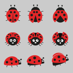 Sticker Coccinelle