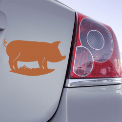 Autocollant Cochon - 11