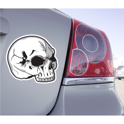Sticker Crâne Fendu Skull - 1