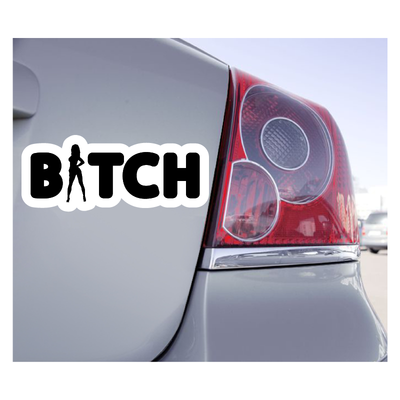 Sticker Bitch - 1