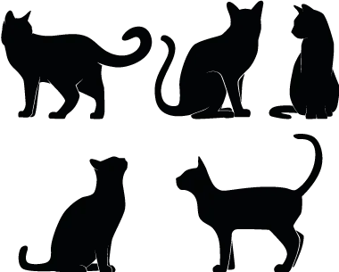 autocollant silhouette de chats sticker chatons - ref 170320 - Stickers  Autocollants personnalisés
