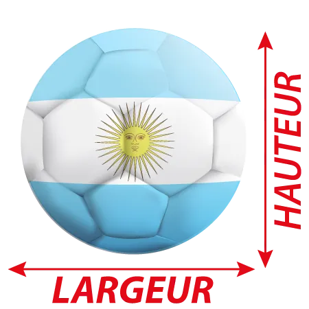 Détail Autocollant Ballon De Foot Argentine