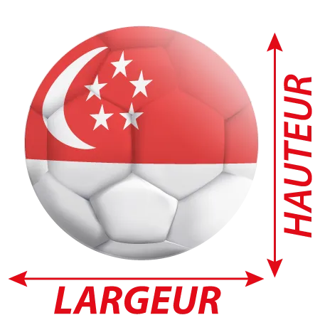 Détail Autocollant Ballon De Foot Singapour