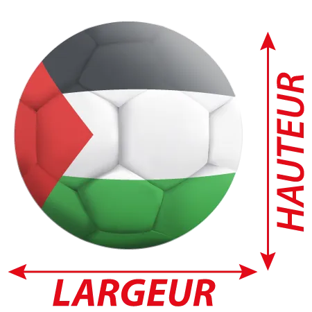 Détail Autocollant Ballon De Foot palestine