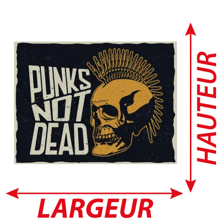 Détail Autocollant Punks not dead