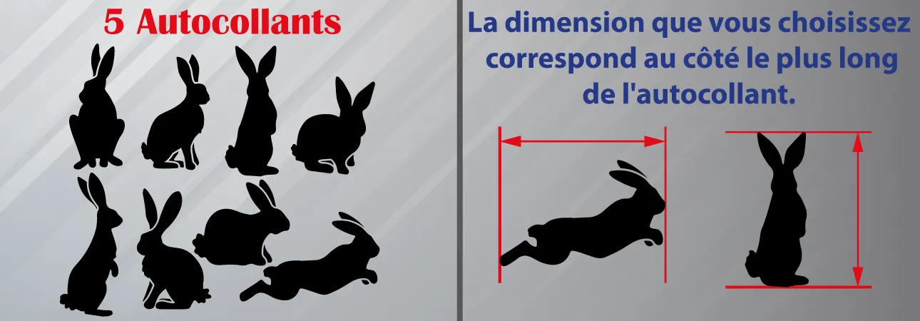 Détail Autocollant lapin